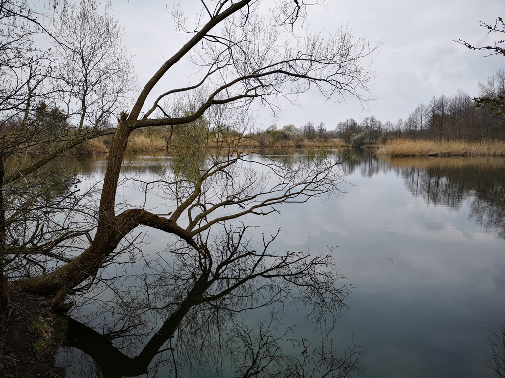 Amelii Wojciechowskiej z klasy 2a.jpg